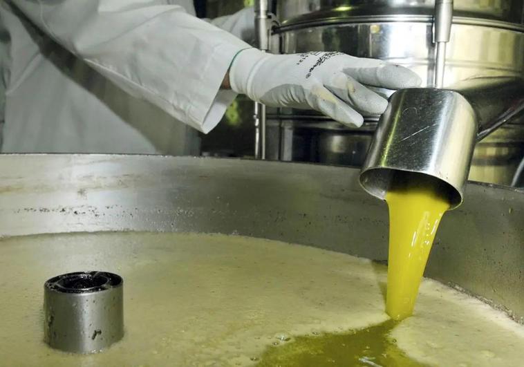 Salud recomienda no consumir estas 12 marcas de aceite etiquetadas como de oliva virgen extra o suave